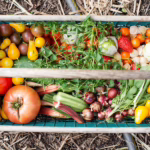 The Ultimate Guide to Mindful Eating: How to Nourish Your Body and Soul