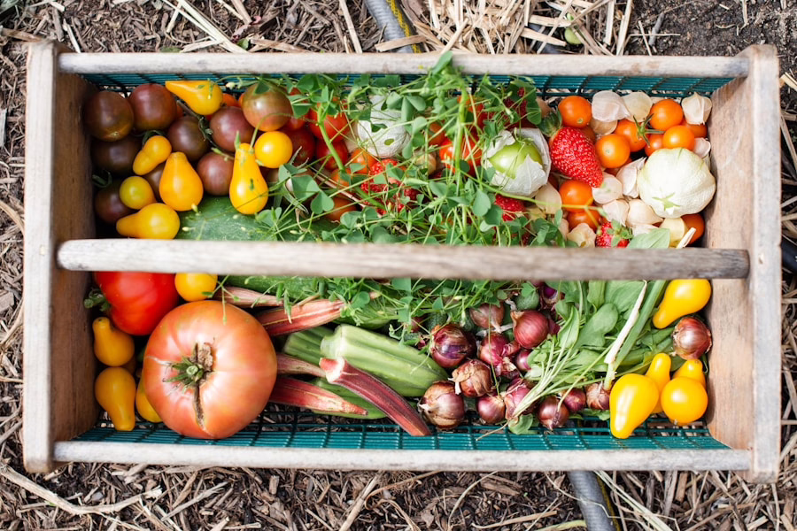 The Ultimate Guide to Mindful Eating: How to Nourish Your Body and Soul
